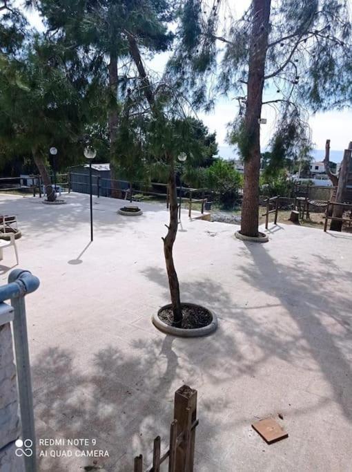 Appartamento In Villa Con Pineta ليبورانو المظهر الخارجي الصورة
